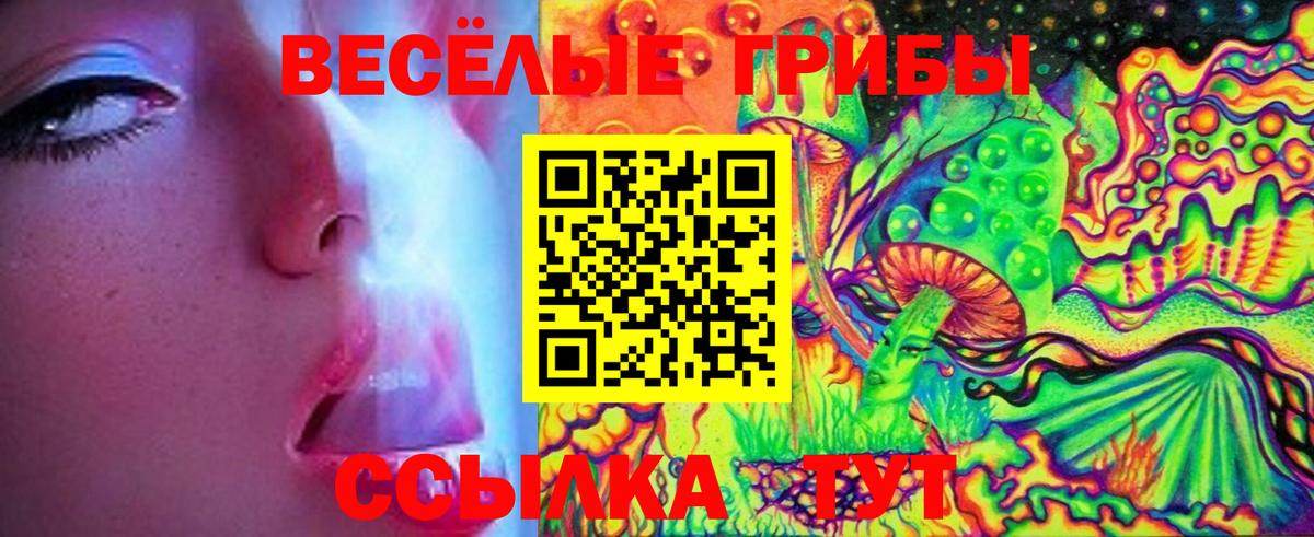 Семилуки  Галлюциногенные грибы MAGIC MUSHROOMS  Вход с VPN 